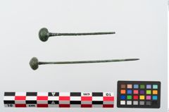 Foto von Kugelkopfnadel (NHMW-PRAE-024264)